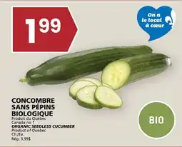 Rachelle-Bery Grocery ORGANIC SEEDLESS CUCUMBER offer