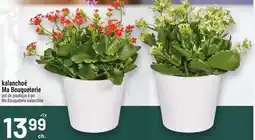 Metro KALANCHOÉ MA BOUQUETERIE | MA BOUQUETERIE KALANCHOE offer