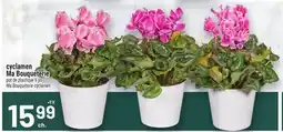 Metro CYCLAMEN MA BOUQUETERIE | MA BOUQUETERIE CYCLAMEN offer