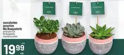 Metro SUCCULENTES ASSORTIES MA BOUQUETERIE | MA BOUQUETERIE ASSORTED SUCCULENT offer