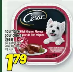 Metro NOURRITURE POUR CHIENS CESAR | CESAR DOG FOOD offer