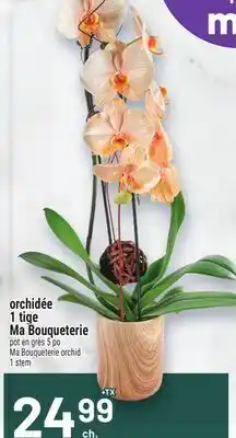 Metro ORCHIDÉE 1 TIGE MA BOUQUETERIE | MA BOUQUETERIE ORCHID offer