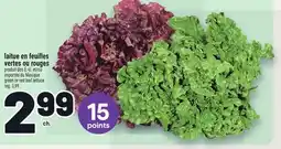 Metro LAITUE EN FEUILLES VERTES OU ROUGES | GREEN OR RED LEAF LETTUCE offer