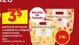 Maxi POMMES DE TERRE JAUNES LA GABRIELLE OU LA RAPHAËLLE offer