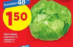 Maxi LAITUE ICEBERG offer