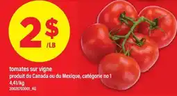 Maxi TOMATES SUR VIGNE offer