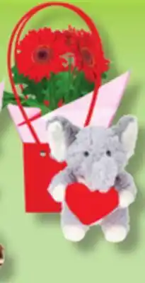 IGA FLOWER POT offer