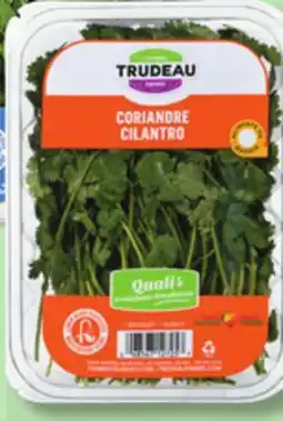IGA FERMES TRUDEAU CILANTRO offer