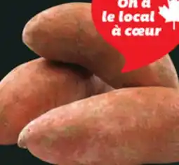 IGA ORANGE FLESH SWEET POTATOES offer