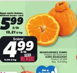 IGA SUMO MANDARINS offer