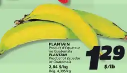 IGA PLANTAIN offer