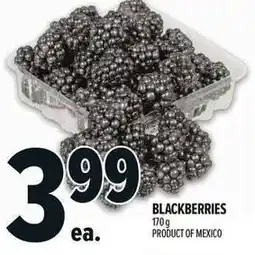 Metro Blackberries offer