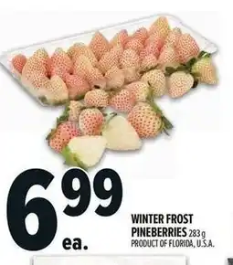Metro Winter frost pineberries offer