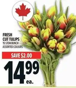 Metro Fresh cut tulips offer