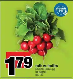 Super C radis en feuilles offer
