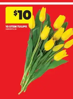 Real Canadian Superstore 10 STEM TULIPS offer