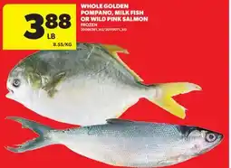 Real Canadian Superstore WHOLE GOLDEN POMPANO, MILK FISH OR WILD PINK SALMON offer
