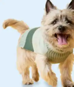 Walmart One Paw spring dog sweaters offer