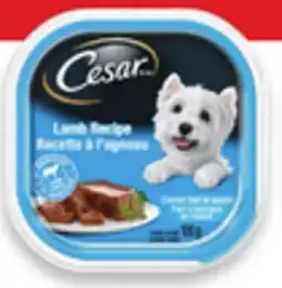 Walmart Cesar wet dog food offer