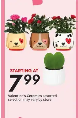 Sobeys Valentine's Ceramics offer