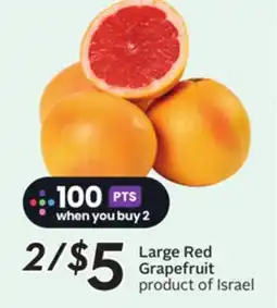 Sobeys Large Red Grapefruit offer