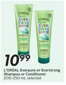 Sobeys L'ORÉAL Everpure or Everstrong Shampoo or Conditioner offer