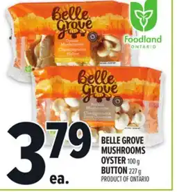 Metro BELLE GROVE MUSHROOMS OYSTER offer