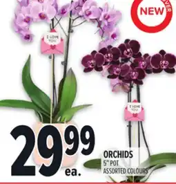Metro ORCHIDS offer