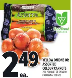 Metro YELLOW ONIONS OR ASSORTED COLOUR CARROTS offer