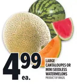 Metro LARGE CANTALOUPES OR MINI SEEDLESS WATERMELONS offer