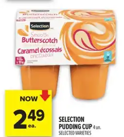 Metro SELECTION PUDDING CUP offer