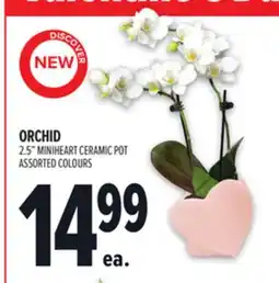 Metro ORCHID 2.5 MINIHEART CERAMIC POT offer