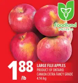 Metro LARGE FUJI APPLES offer