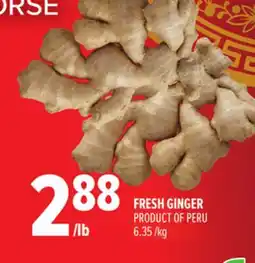 Metro FRESH GINGER offer