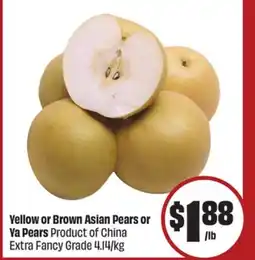 FreshCo Yellow or Brown Asian Pears or Ya Pears Product of China Extra Fancy Grade - LNY offer