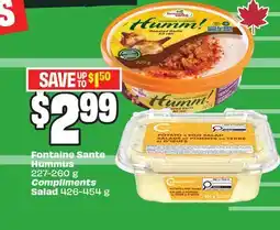FreshCo Fontaine Sante Hummus 227–260 g Compliments Salad 426–454 g offer