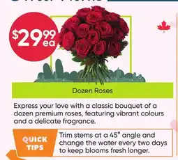 Healthy Planet Dozen Roses offer