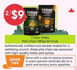 Healthy Planet Cedar Valley Pita Chips offer