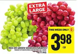 Food Basics RED OR GREEN SEEDLESS GRAPES offer