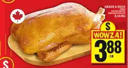 Food Basics GRADE A DUCK offer