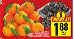 Food Basics BLACKBERRIES OR STEAM & LEAF CLEMENTINES offer
