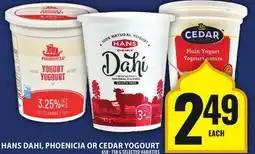 Food Basics HANS DAHI, PHOENICIA OR CEDAR YOGOURT offer