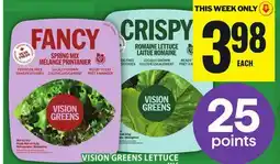 Food Basics VISION GREENS LETTUCE offer