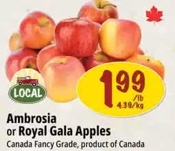 Farm Boy Ambrosia or Royal Gala Apples offer