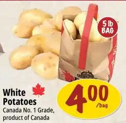 Farm Boy White Potatoes offer