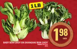Food Basics BABY BOK CHOY OR SHANGHAI BOK CHOY offer