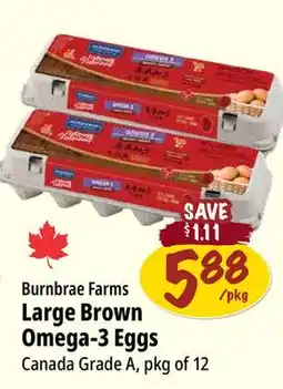 Farm Boy Burnbrae Farms Large Brown Omega-3 Eggs offer