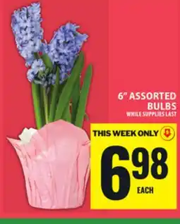 Food Basics 6 ASSORTED BULBS offer