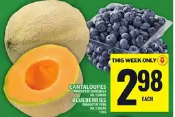 Food Basics CANTALOUPES, BLUEBERRIES offer