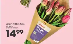 Longo's Longo's 15 Stem Tulips offer